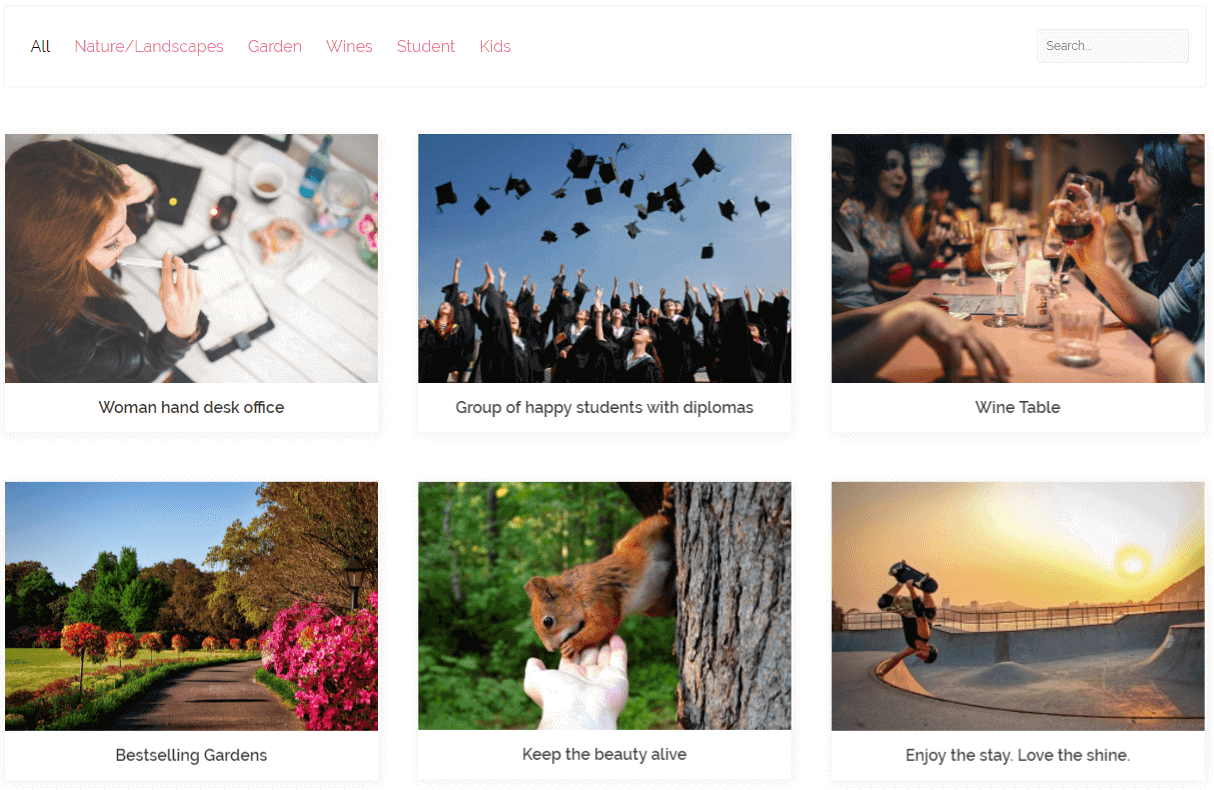 Image Portfolio